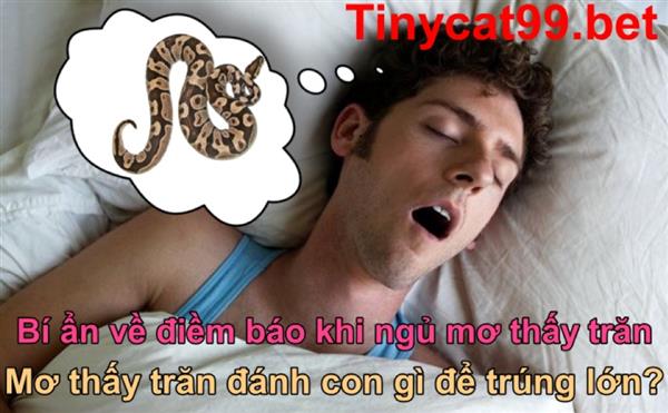 Mơ Thấy Trăn Nên Đánh Đề Nào - Giấc Mơ Về Trăn Có Ý Nghĩa Gì