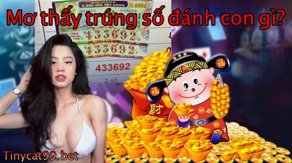 Mơ Thấy Trúng Số Đánh Con Gì? Giải Mã Bí Ẩn Khi Mơ Thấy Trúng Số
