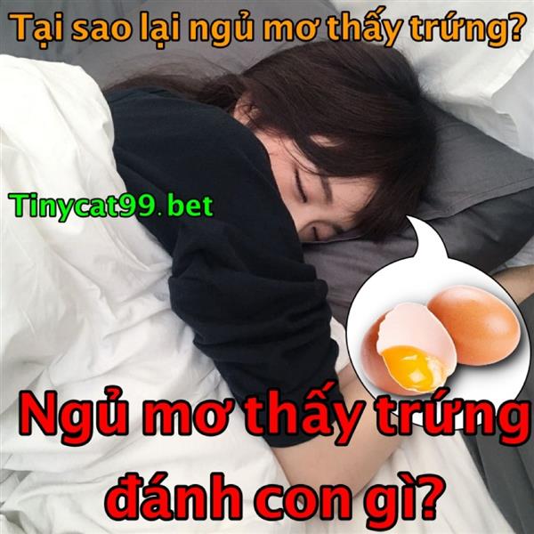 Mơ Thấy Trứng Đánh Con Nào Bách Phát Bách Trúng? Ý Nghĩa Khi Mơ Thấy Trứng 
