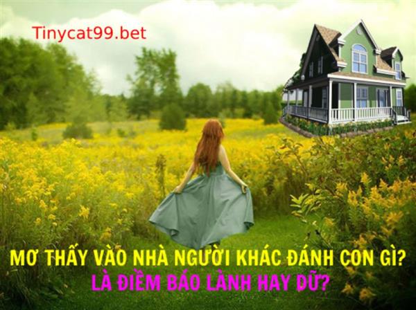 Mơ Thấy Vào Nhà Người Khác Đánh Con Gì? Là Điềm Báo Lành Hay Dữ?