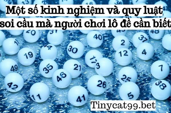 Một số kinh nghiệm và quy luật soi cầu mà người chơi lô đề cần biết