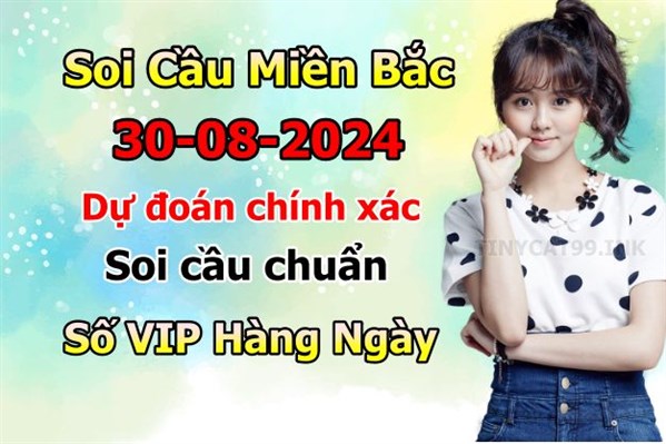 Soi Cầu Miền Bắc 30-08-2024 Dự Đoán XSMB Chốt Số VIP Kép Chuẩn Xác Thứ 6