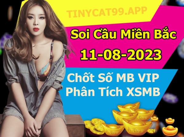 Soi Cầu Miền Bắc 11/08/2023 Dự Đoán XSMB Chốt Số VIP Kép Chuẩn Xác Thứ 6