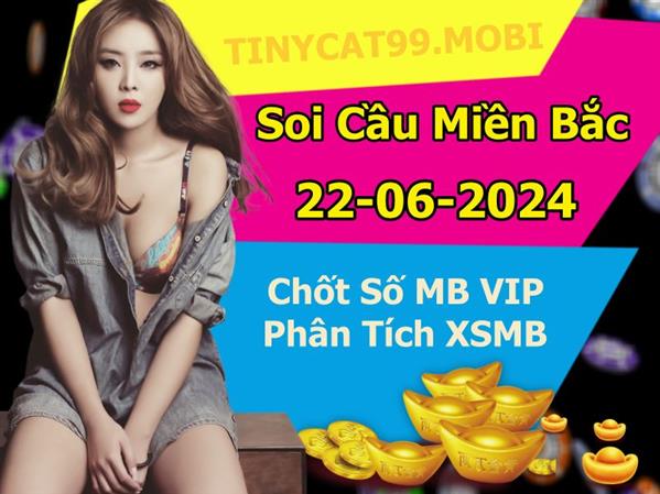 Soi Cầu XSMB 22-06-2024 Dự Đoán XSMB Chốt Số Miền Bắc VIP Thứ 7