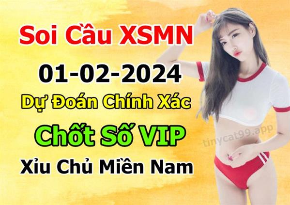 Dự Đoán XSMN 01-02-2024 Soi Cầu XSMN Chốt Số Miền Nam Bao Lô Thứ 5
