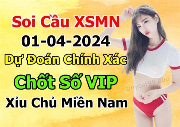 Soi Cầu XSMN 01-04-2024 Dự Đoán XSMN Chốt Số Miền Nam VIP Thứ 2