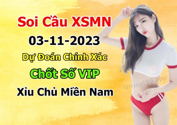 Dự Đoán Miền Nam 03-11-2023 Soi Cầu XSMN Chốt Số Bao Lô Thứ 6