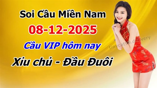 Soi Cầu XSM 08-12-2025 Dự Đoán XSMN Chốt Số Miền Nam VIP Thứ 2