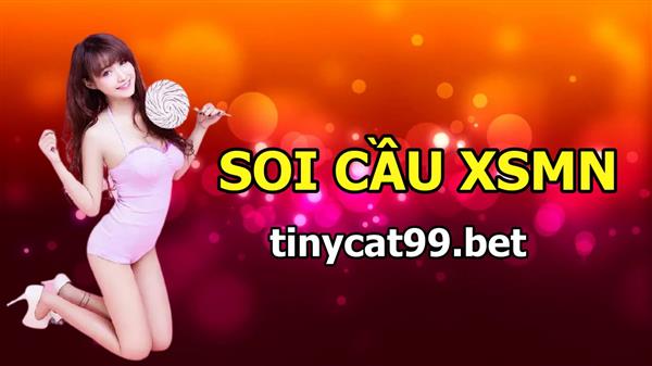 Soi Cầu XSMN 11-01-2021 Dự Đoán XSMN Chốt Số Miền Nam VIP Thứ 2