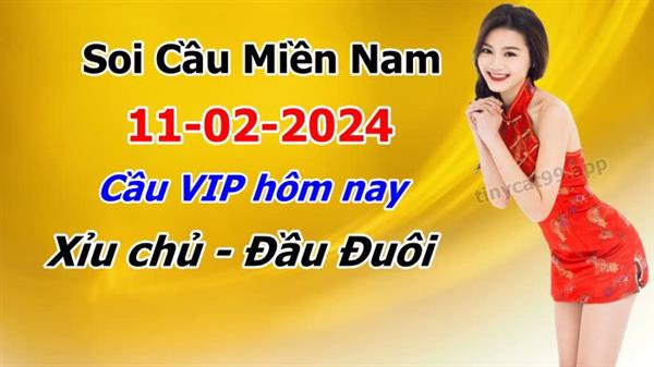 Soi Cầu XSMN 11-02-2024 Dự Đoán MN Chốt Số Miền Nam Chủ Nhật