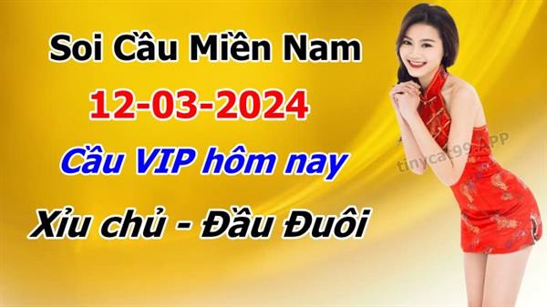 Soi Cầu XSMN 12-03-2024 Dự Đoán XSMN Chốt Số Miền Nam Thứ 3