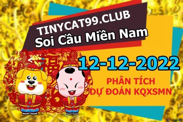 Soi Cầu XSMN 12-12-2022 Dự Đoán XSMN Chốt Số Miền Nam VIP Thứ 2