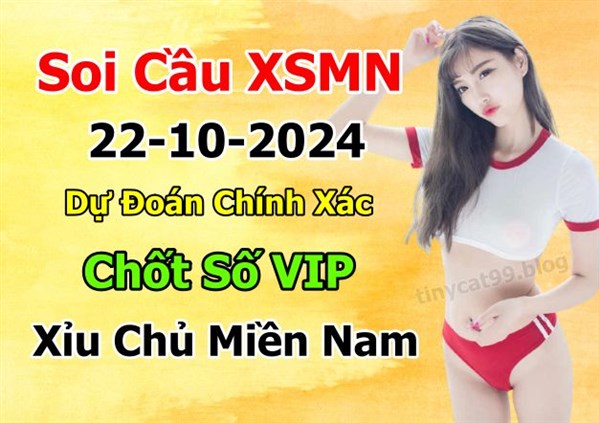 Soi Cầu XSMN 22-10-2024 Dự Đoán XSMN Chốt Số Miền Nam Thứ 3