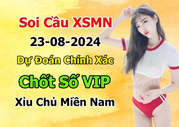 Dự Đoán Miền Nam 23-08-2024 Soi Cầu XSMN Chốt Số Bao Lô Thứ 6