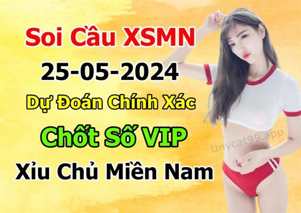  Dự Đoán MN 25-05-2024 Soi Cầu XSMN Chốt Số Miền Nam Thứ 7
