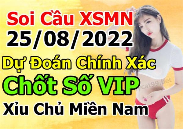 Dự Đoán XSMN 25-08-2022 Soi Cầu XSMN Chốt Số Miền Nam Bao Lô Thứ 5