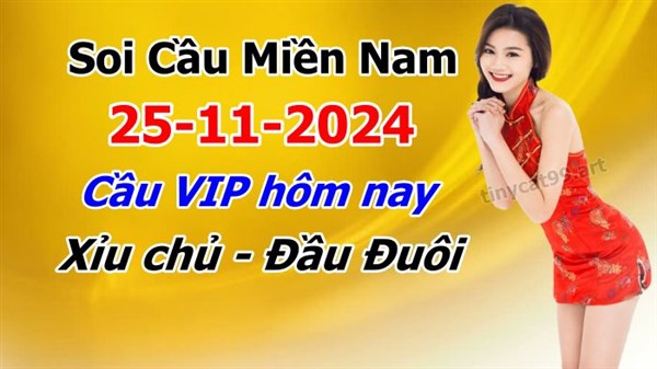 Soi Cầu XSMN 25-11-2024 Dự Đoán XSMN Chốt Số Miền Nam VIP Thứ 2