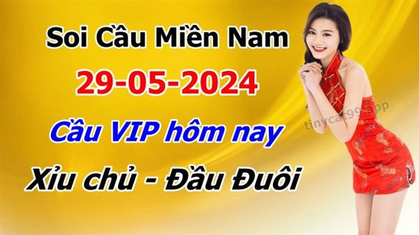 Dự Đoán XSMN 29-05-2024 Soi Cầu XSMN Chốt Số Miền Nam Thứ 4