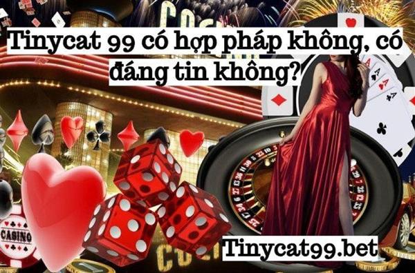 Tinycat99 Có Hợp Pháp Không, Có Đáng Tin Không?