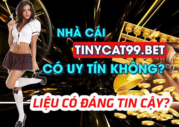 Nhà Cái Online Tinycat99 Có Uy Tín Như Lời Quảng Cáo Hay Không?