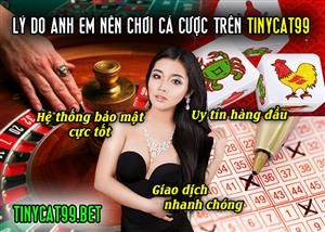 Lí Do Anh Em Nên Chọn Cá Cược Trên Tinycat99