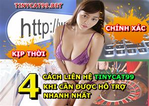 1001+ Cách Liên Hệ Tinycat99 Nhà Cái Uy Tín Số 1 Hàng Đầu Việt Nam