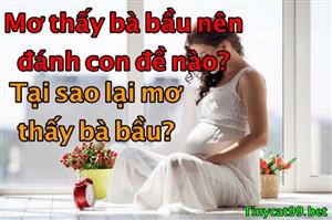 Nằm Mơ Thấy Bà Bầu Đánh Con Gì? Giải Mã Giấc Mơ Thấy Bà Bầu