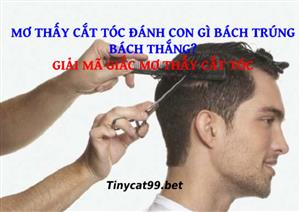 Mơ Thấy Cắt Tóc Đánh Con Gì Bách Trúng Bách Thắng? Điềm Báo Tốt Xấu?