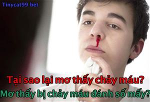 Mơ Thấy Chảy Máu Đánh Con Gì? Giải Mã Điềm Báo Giấc Mơ Chảy Máu