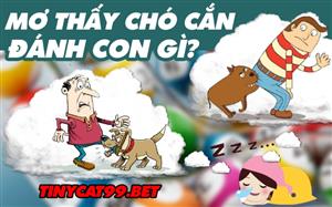 Mơ Thấy Chó Cắn Đánh Con Gì? Điềm Báo Và Bí Ẩn Đằng Sau Giấc Mơ Thấy Chó Cắn 