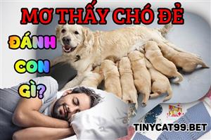 Mơ Thấy Chó Đẻ Đánh Số Nào Mới Dễ Trúng - Giải Mã Giấc Mơ Thấy Chó Đẻ
