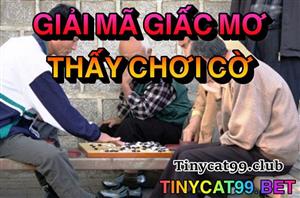Lý Giải Ý Nghĩa Của Giấc Mơ Thấy Đánh Cờ Là Gì? Đánh Số Mấy?