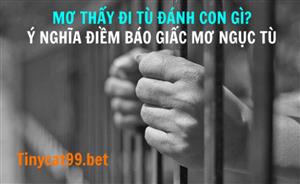 Mơ Thấy Đi Tù Đánh Con Gì? Ý Nghĩa Điềm Báo Giấc Mơ Ngục Tù