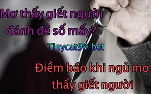 Giải Mã Bí Ẩn Con Số Lô Đề Và Điềm Báo Khi Ngủ Mơ Thấy Giết Người 