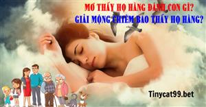 Mơ Thấy Họ Hàng Đánh Con Gì? Giải Mộng Chiêm Bao Thấy Họ Hàng?