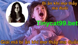 Mơ Thấy Ma Đuổi Đánh Con Gì? Ý Nghĩa Điềm Báo Khi Thấy Ma Đuổi