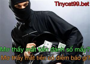 Nằm Mơ Thấy Mất Tiền Có Phải Là Điềm? Đánh Con Gì? Ý Nghĩa Khi Mơ Thấy Tiền