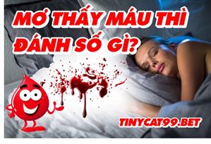 Mơ Thấy Máu Đánh Con Gì? Luận Giải Cho Ra Bộ Đề May Mắn Nhất