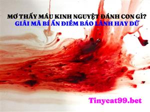 Mơ Thấy Máu Kinh Nguyệt Đánh Số Gì? Giải Mã Bí Ẩn Điềm Báo Giấc Mơ