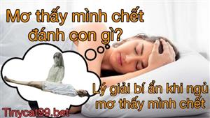 Mơ Thấy Mình Chết Có Điềm Báo Gì? Đánh Con Gì Khi Mơ Thấy Mình Chết 