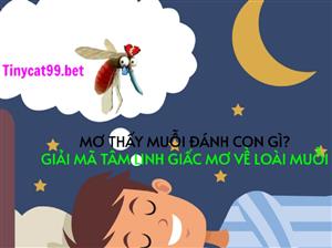 Mơ Thấy Muỗi Đánh Con Gì? Giải Mã Tâm Linh Giấc Mơ Về Loài Muỗi