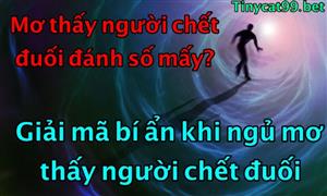 Ngủ Mơ Thấy Người Chết Đuối Đánh Con Gì? Tại Sao Lại Ngủ Mơ Thấy Có Người Chết Đuối?