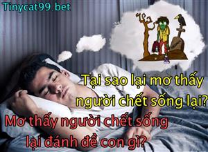 Nằm Mơ Thấy Người Chết Đi Sống Lại Đánh Đề Số Nào? Điềm Tốt Hay Xấu
