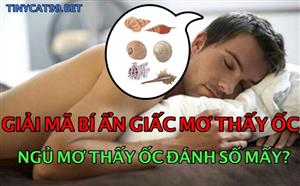 Nằm Mơ Thấy Ốc Đánh Con Gì? Giải Mộng Lô Đề Giấc Mơ Con Ốc