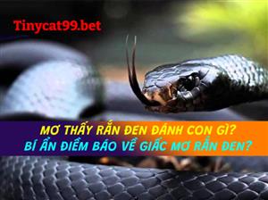 Mơ Thấy Rắn Đen Đánh Con Gì? Bí Ẩn Điềm Báo Về Giấc Mơ Rắn Đen?