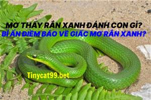Mơ Thấy Rắn Xanh Đánh Con Gì? Bí Ẩn Điềm Báo Về Giấc Mơ Rắn Xanh?