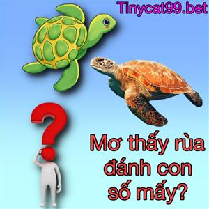Nằm Mơ Thấy Rùa Thì Đánh Con Gì? Giải Mã Giấc Mơ Con Rùa