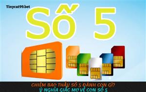 Chiêm Bao Thấy Số 5 Đánh Con Gì? Ý Nghĩa Giấc Mơ Về Con Số 5