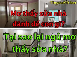 Nằm Mơ Thấy Sửa Nhà Có Điềm Báo Gì? Tốt Hay Xấu? Ý Nghĩa Của Giấc Mơ Sửa Nhà Là Gì?
