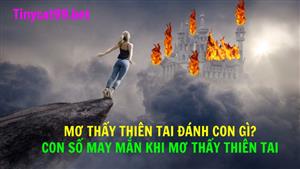 Mơ Thấy Thiên Tai Đánh Con Gì? Con Số May Mắn Khi Mơ Thấy Thiên Tai